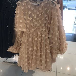 Meet your Posher, Janine